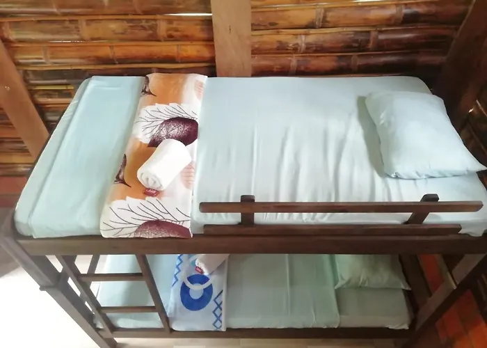 Cabanas Orquidea