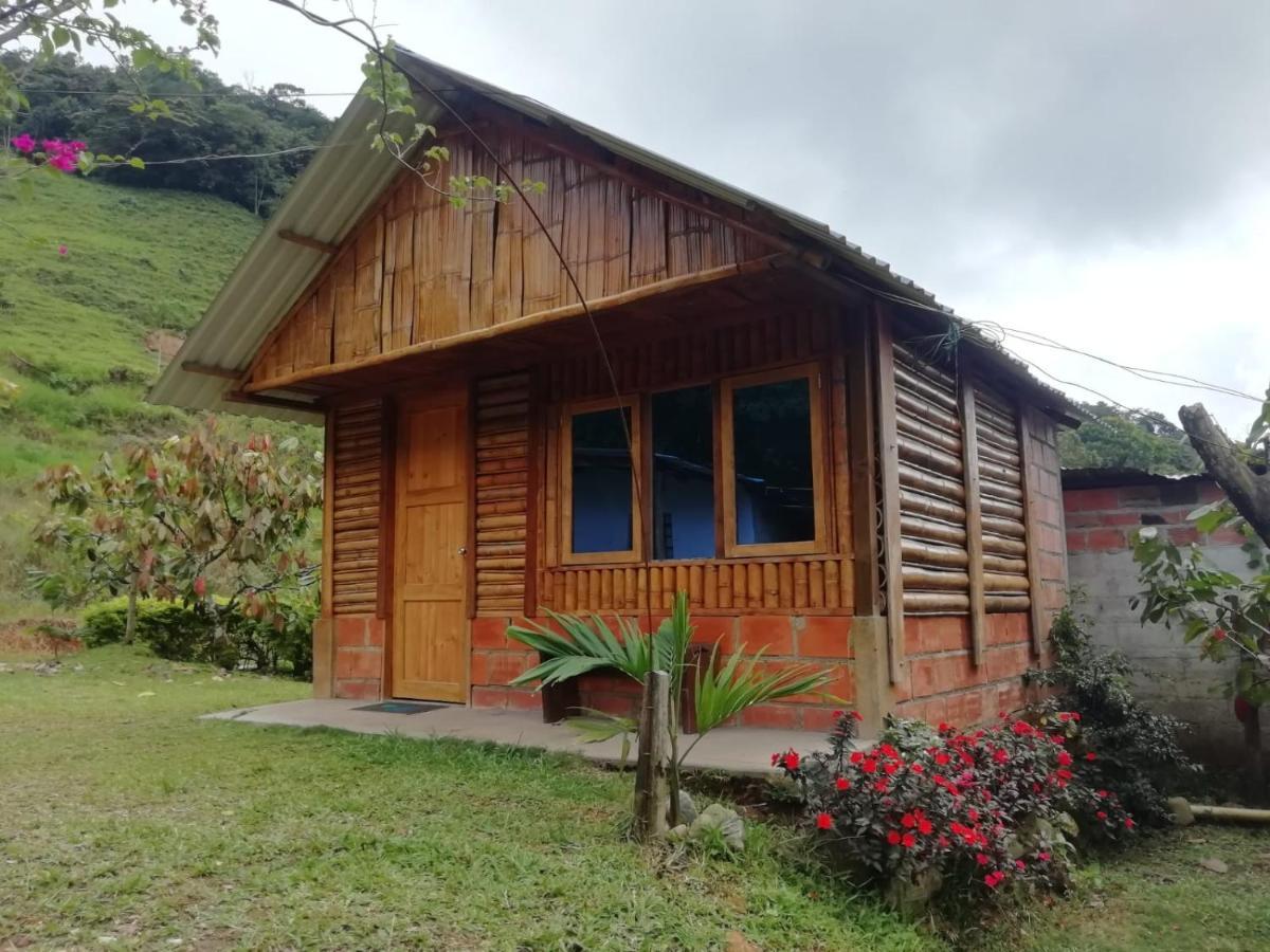 Lodge Orquidea